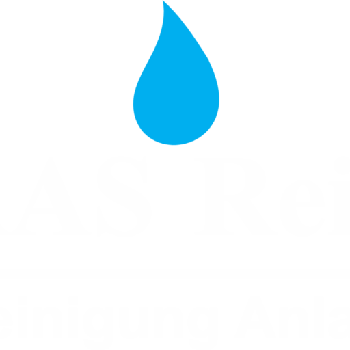 Ras Reinigung